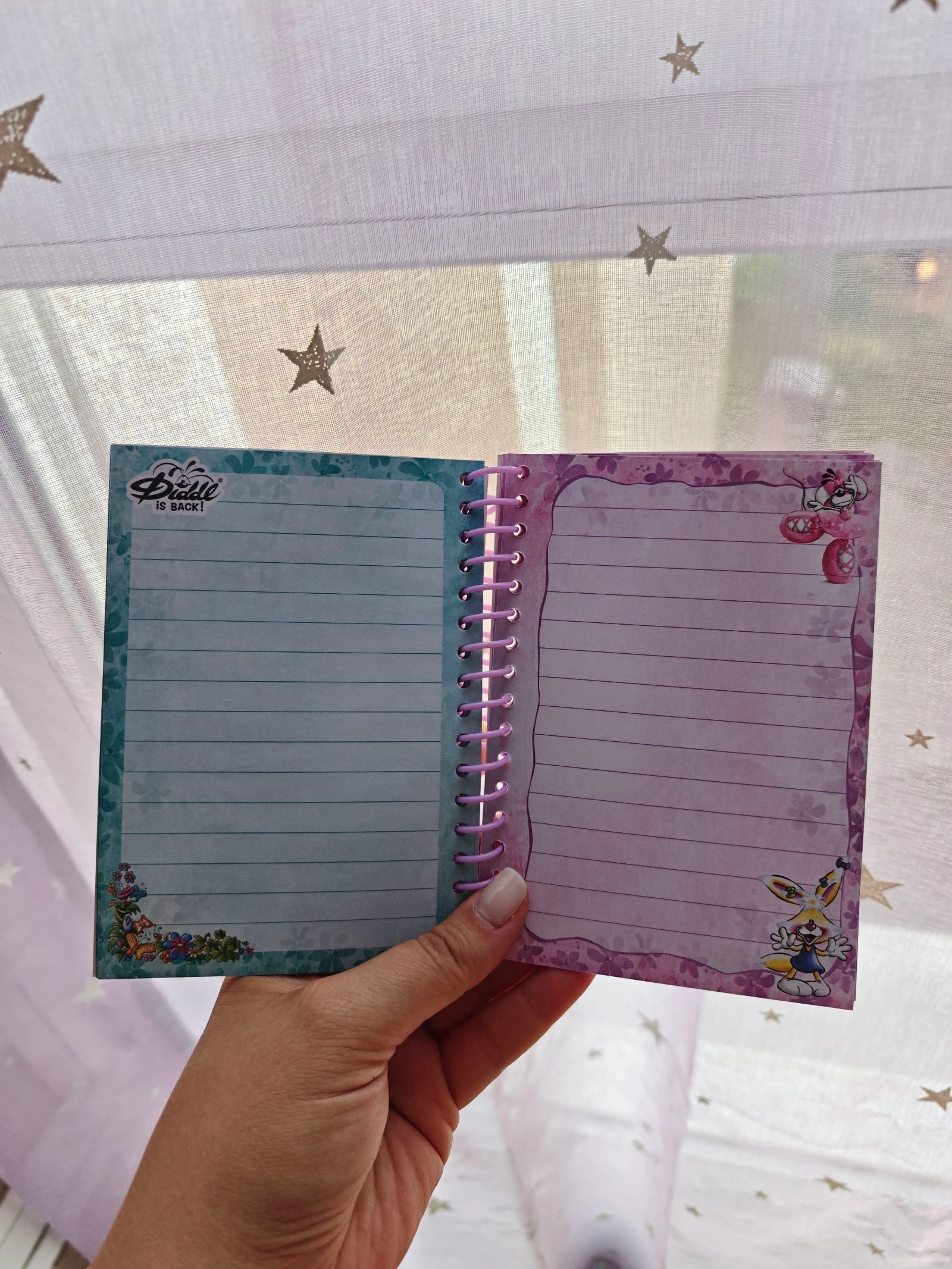 Petit cahier carnet Diddl is Back Diddlina Danseuse France A6 – photo 6